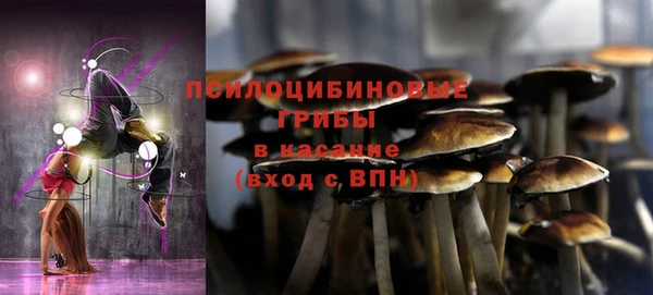 гашик Осинники